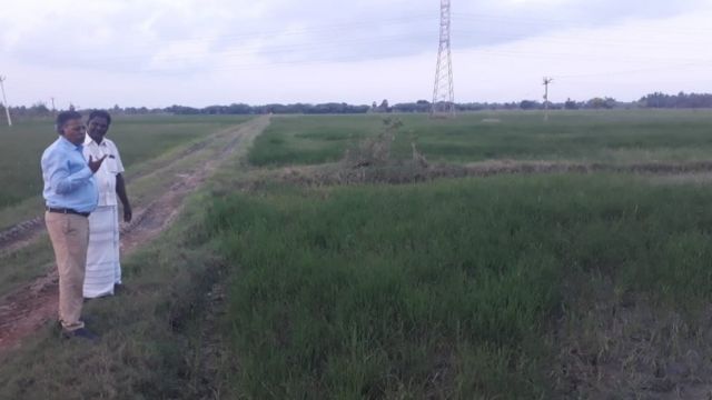 உதவி இயக்குநர் சாமிநாதன்
