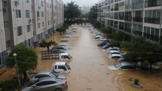 대전 서구 정림동 한 아파트 지상 주차장이 침수됐다