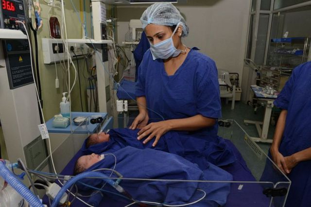 வாடகைத் தாய்