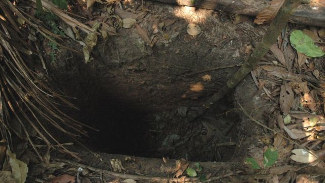 Hole dug by the Man of the Hole