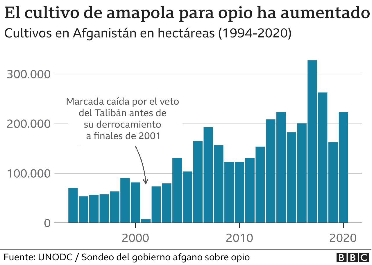Gráfico de los cultivos de amapola