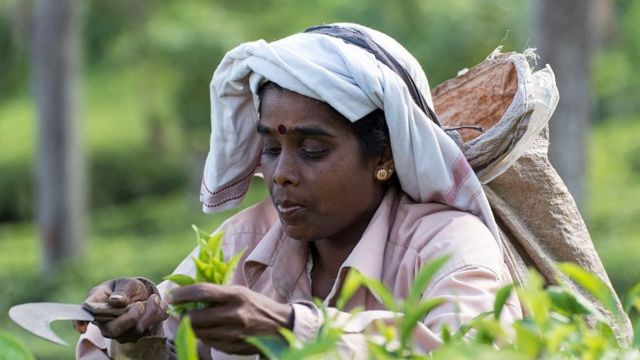 மலையக மக்கள்