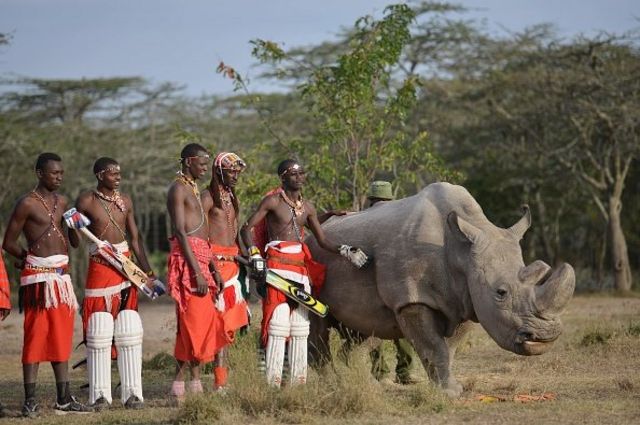 Komunitas lokal di Kenya memiliki sistem perlindungan lingkungan tradisional yang diterapkan