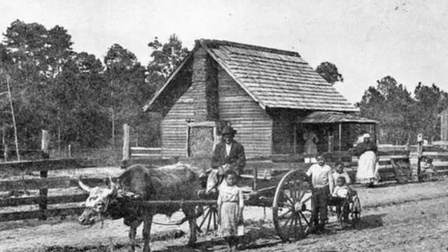 كان الاقتصاد الجنوبي يعتمد بشكل أساسي على المزارع الكبيرة التي تنتج المحاصيل التجارية مثل القطن والتي اعتمدت على العبيد كقوة عاملة رئيسية