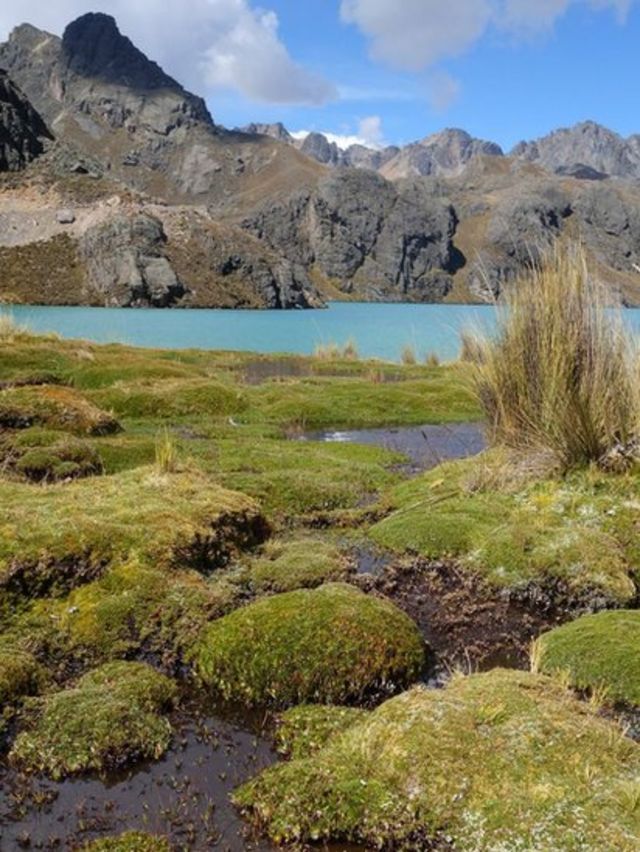 Áreas pantanosas nos Andes