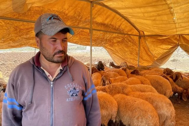 عمار ابوعالیه که از خانه خود رانده شده است، اکنون گوسفندان خود را در زمین اجاره‌ای موقت نگهداری می‌کند