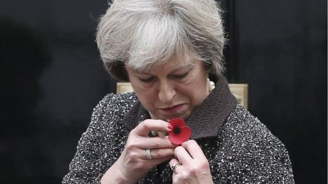 Theresa May arborant un coquelot