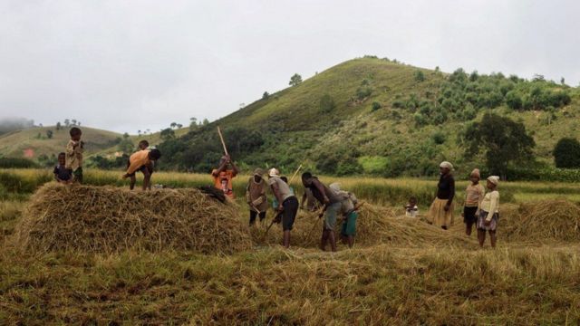 உணவு வீணாகுதல்