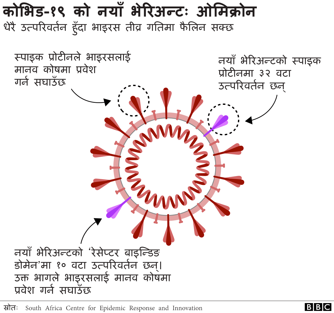 ओमिक्रोन