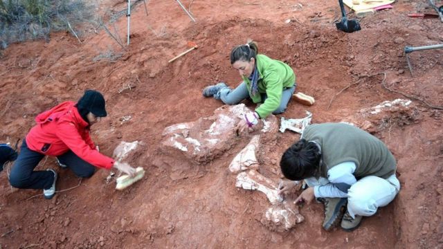 Paleontólogos desenterrando restos de Ingentia prima en San Juan