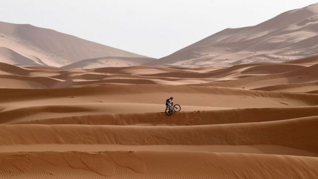 hamadar sahara