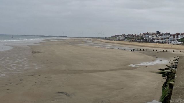 can you take dogs on the beach at bridlington