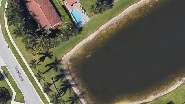 Google Maps users are able to view what appears to be a car in the pond