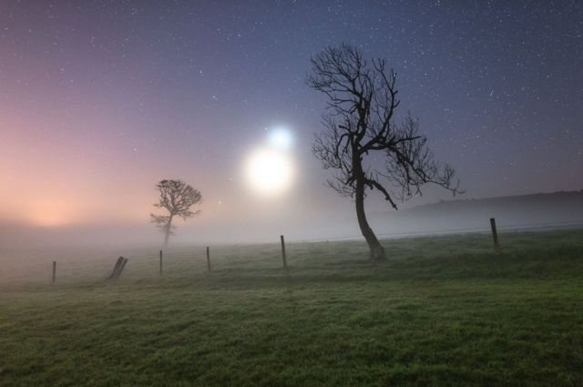 Neblina Binaria de Ainsley Bennett