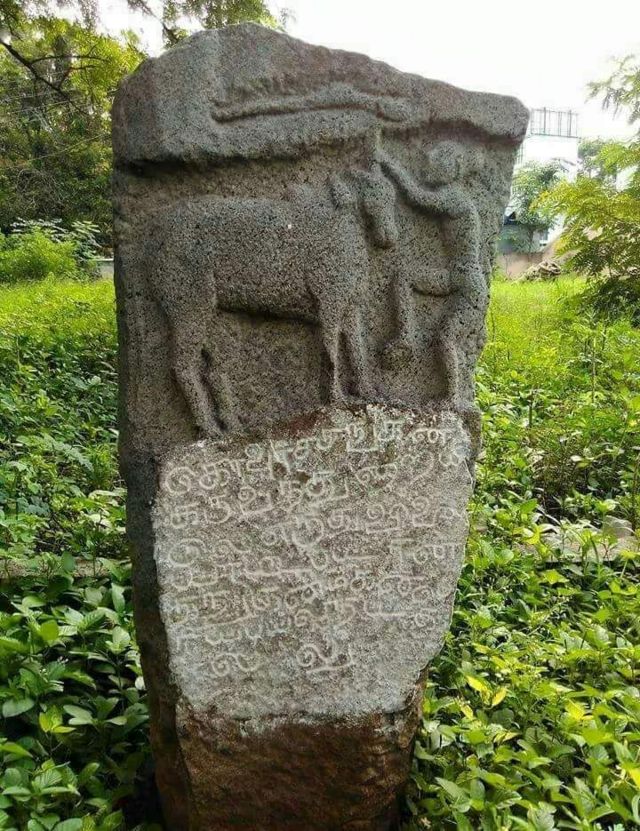 ஏறு தழுவுதலின் வரலாறு
