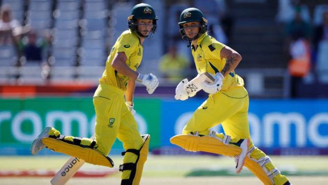 கிரிக்கெட்