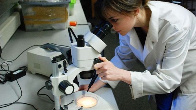 Cientista da Universidade de Durham olhando uma amostra sob um microscópio