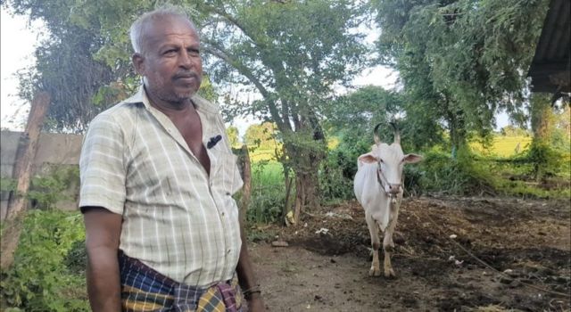 இலங்கை ஜல்லிக்கட்டு