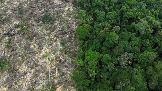 Vista aérea de região desmatada em Uruara, no Estado do Pará