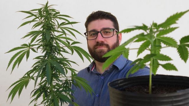 Felipe Farias segurando duas plantas de maconha