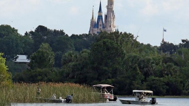 : hallan el cuerpo sin vida del niño de 2 años que un caimán arrebató  a sus padres en un hotel de Disney en Orlando - BBC News Mundo