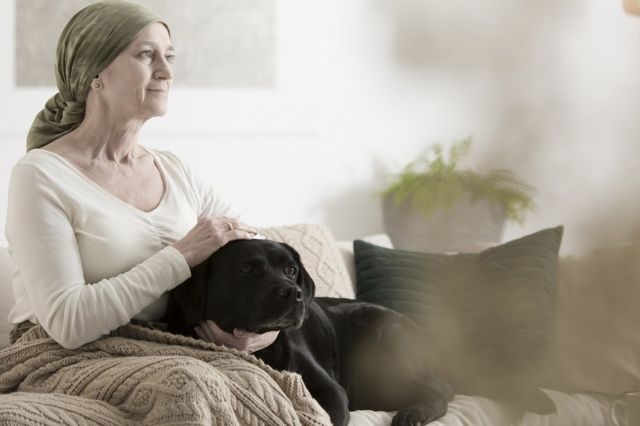 La terapia asistida por animales reduce el estrés en pacientes. Una mujer con cáncer está sentada en un sofá, acariciando a un simpático perro negro.