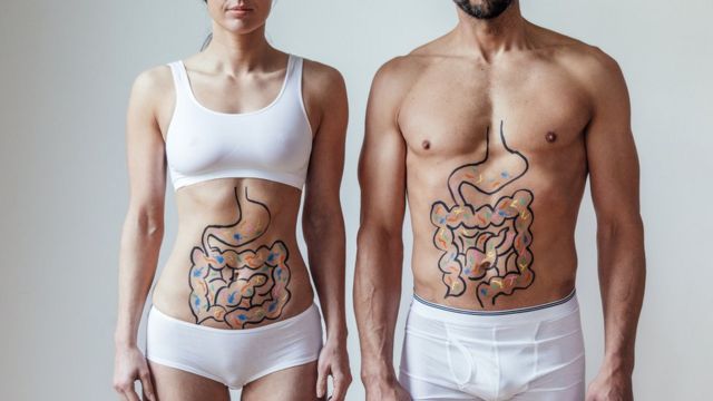 Un hombre y una mujer con el aparato digestivo dibujados.