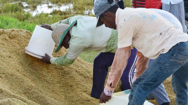 Srilankan Food shortage 4