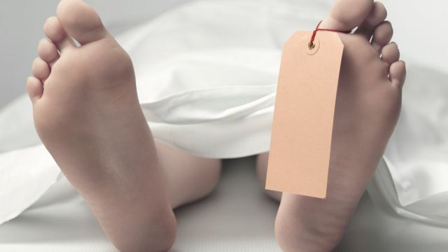 சென்னை ஐஐடி