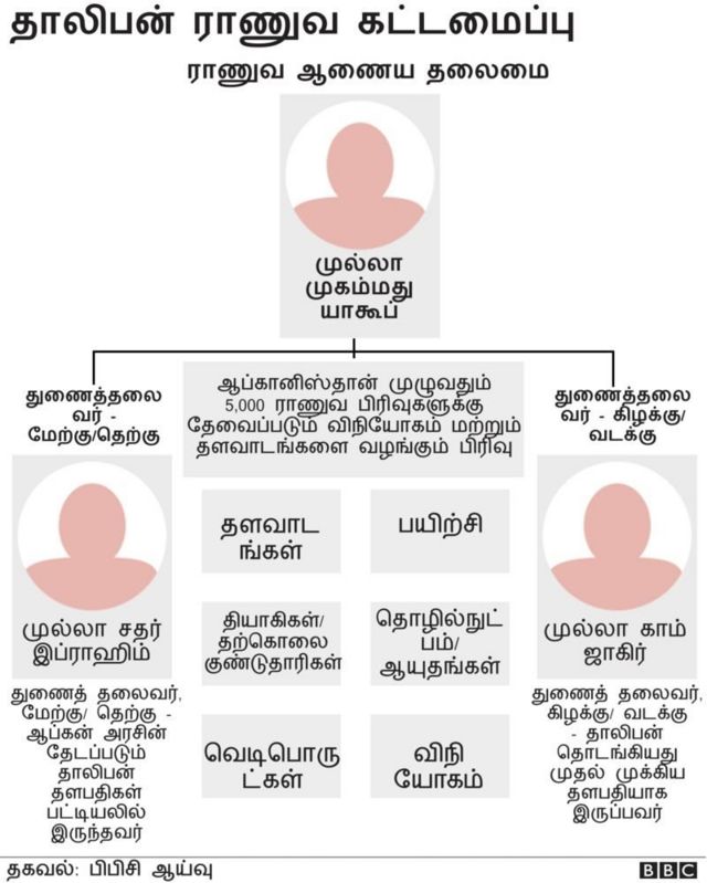 தாலிபன்