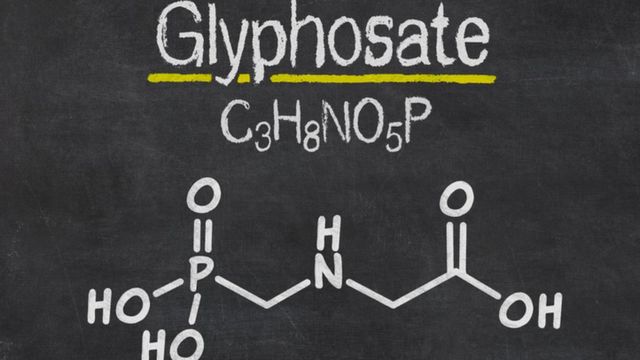 கிளைபொசேட் (Glyphosate)