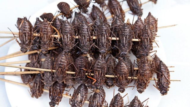 China, Yunnan, Jianshui. Fried cockroaches for sale in Jianshui.