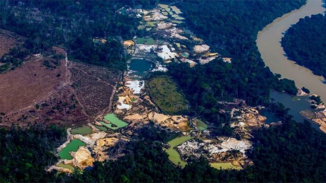 Brezilya Amazonları'nda altın madeni