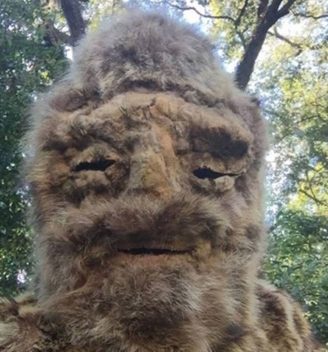 Wandering shaman 'mistaken' for Bigfoot in North Carolina