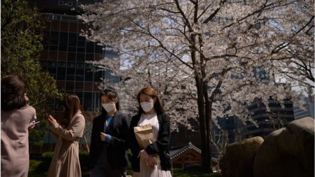 Office workers wearing face masks amid concerns over the COVID-19 novel coronavirus walk past blossoms during their lunch break in central Seoul on March 31, 2020.