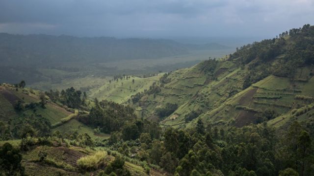Los cultivos que colindan con el parque nacional de Virunga, en la República Democrática del Congo