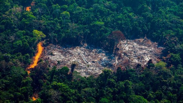Terrenos desforestado en la Amazonia