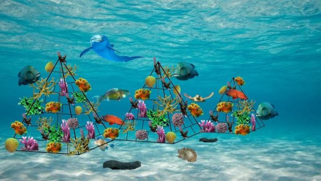 أهرامات الشعاب المرجانية: ابتكار نموذج جديد ببناء هياكل مرجانية في البحر الاحمر -مصر