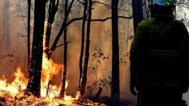 حرائق غابات أستراليا تطوع لإطفاء الحرائق لكنه أشعل مزيدا منها Bbc News عربي