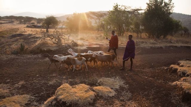 Je Hatua Ya Serikali Ya Rais Magufuli Kubaini Hifadhi Za Akiba Kutatatua Uvamizi Wa Ardhi