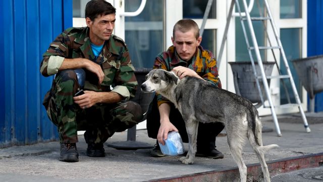 Охранники на КПП кормят бродячих собак и говорят, что те помогают следить за незаконно проникающими в зону людьми ("сталкерами")
