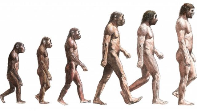 演化和考古：古人类如何被淘汰现代人何时出现- BBC News 中文