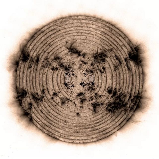 டிஜிட்டல் இன்னோவேஷன் பிரிவில் அன்னி மவுண்டர் பரிசு வென்ற புகைப்படம்