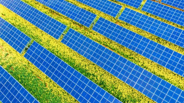 中国成为世界太阳能发电的领军者。(photo:BBC)