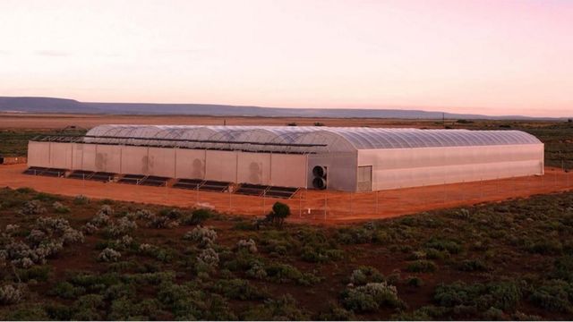 Seawater Greenhouse