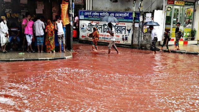 Le sang d'animaux sacrifiés pour la célébration de l'Aïd (fête musulmane) dans les rue de Dakha, la capitale du Bangladesh