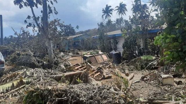 Trees felled in Tonga