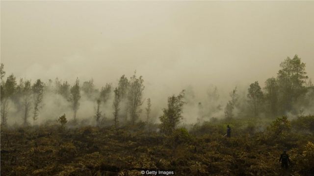 由于有类似农业土地清理这样的做法，污染在农村造成的死亡人数甚至比城市还要多 (Credit: Getty Images)