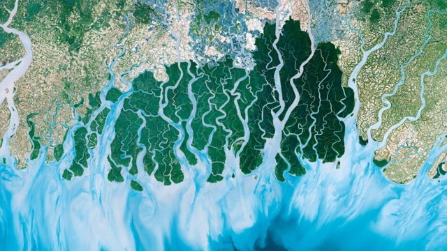 Esta hermosa imagen es de Sundarbans, el delta fluvial más grande del mundo, que se divide en India y Bangladesh.