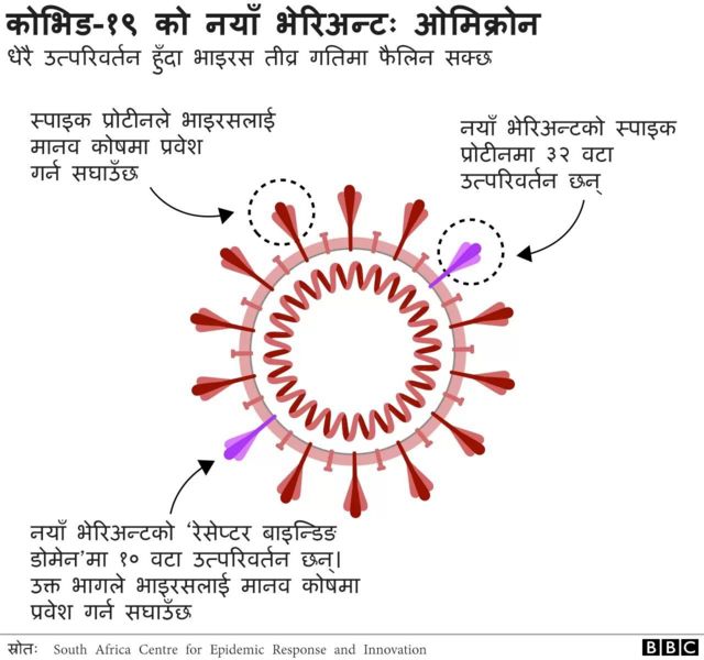 ओमिक्रोन